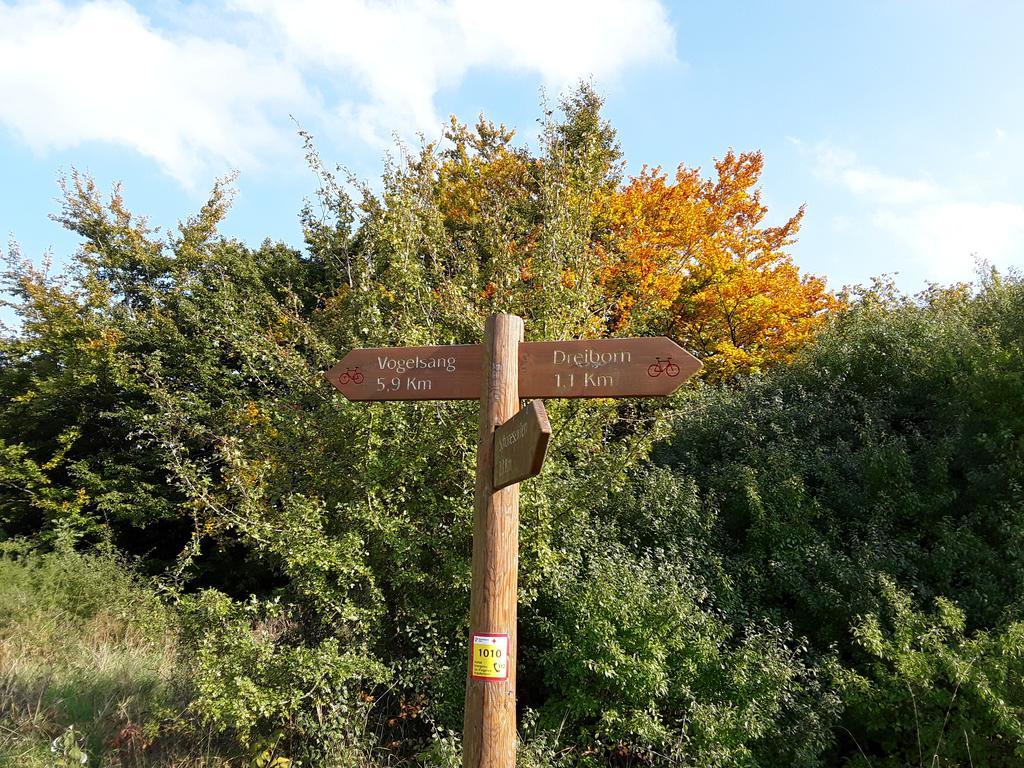 Poehl Am Nationalpark Eifel