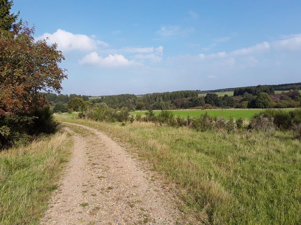 Poehl Am Nationalpark Eifel Schleiden