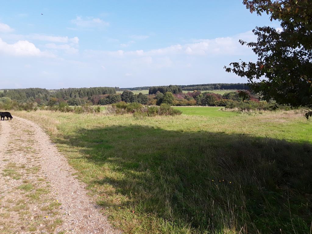 Poehl Am Nationalpark Eifel Schleiden